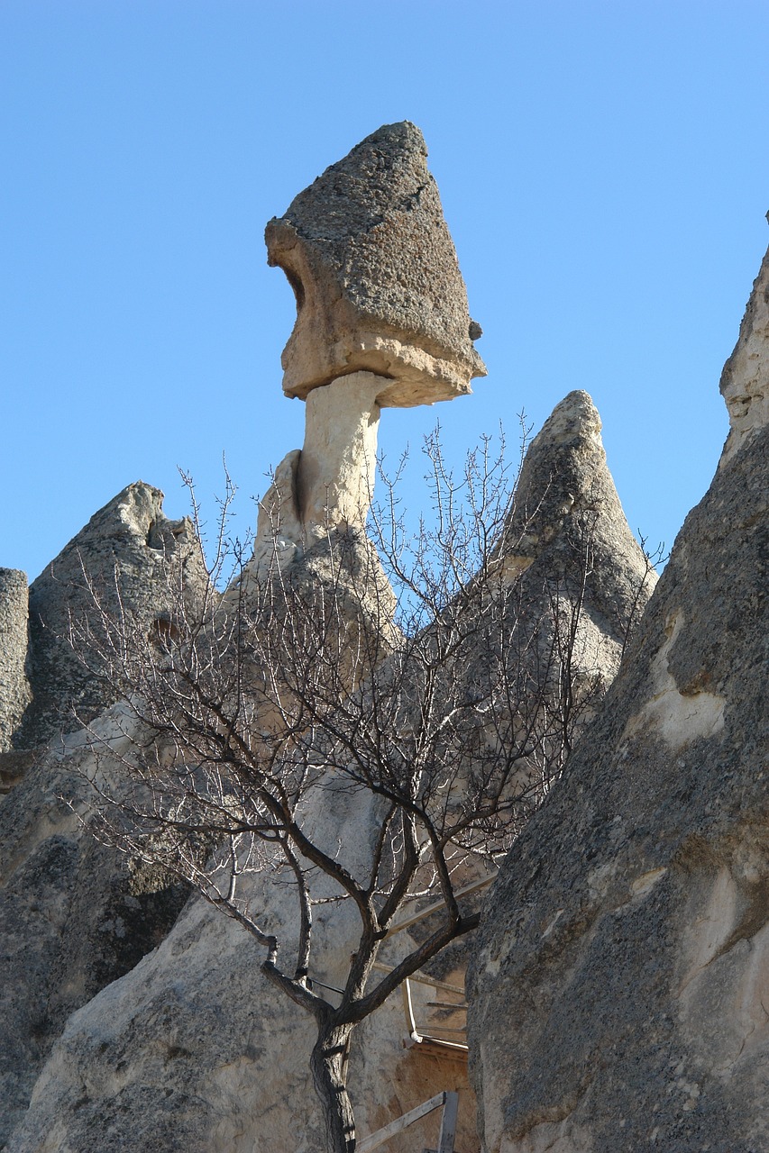 魔兽世界怀旧旅行，重温经典，再探艾泽拉斯